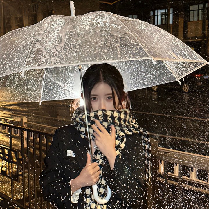 危险女婿